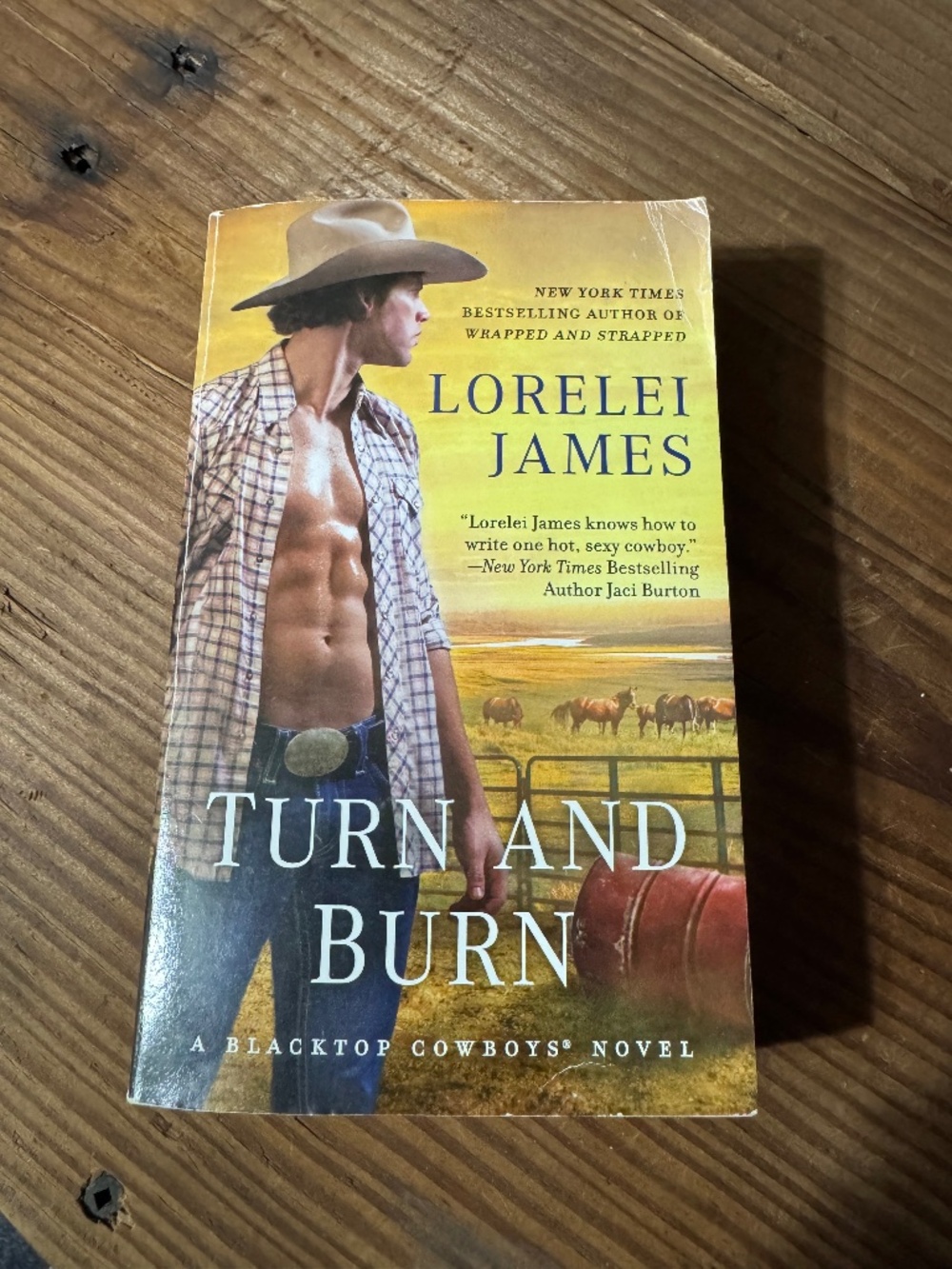 Turn and Burn paperback book